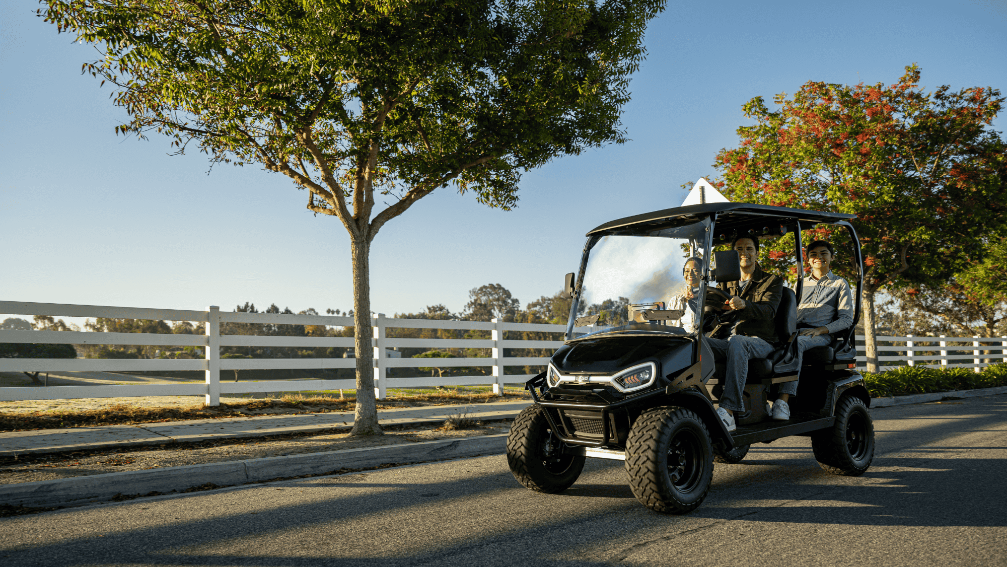Liberty Four Passenger Electric Golf Cart.